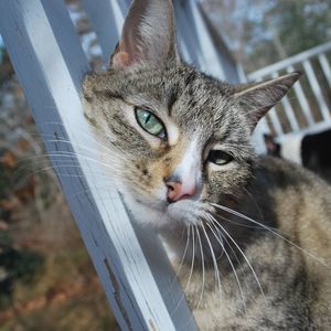 Meet your Posher, Colleen