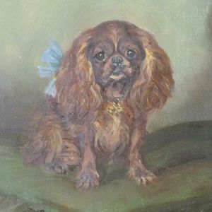 Meet your Posher, Maxine