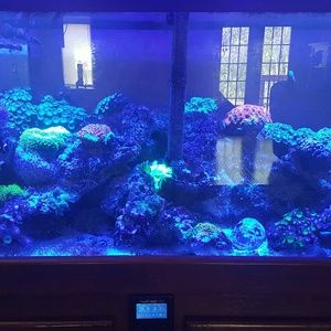 Meet your Posher, Leanne