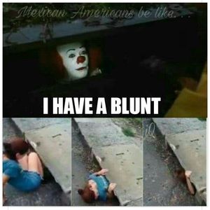 Meet your Posher, Susie