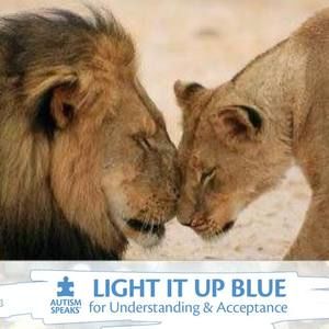 Meet your Posher, Arlene