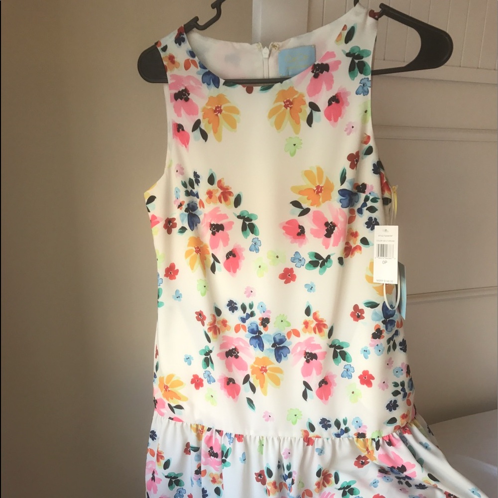 Springy Nordstrom dropwaist dress