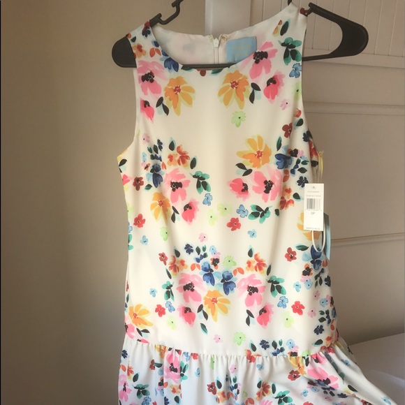 Springy Nordstrom dropwaist dress - Picture 1 of 3
