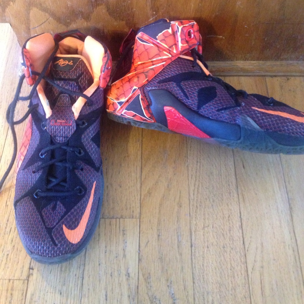 Lebrons '13 size 5y