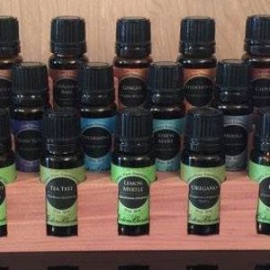 Meet your Posher, Cedar