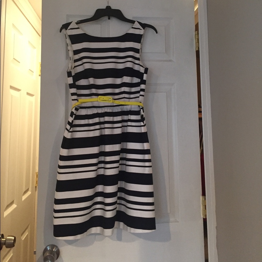 Navy blue and white Dress by The Limited nwt