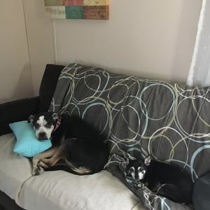 Meet your Posher, Melissa