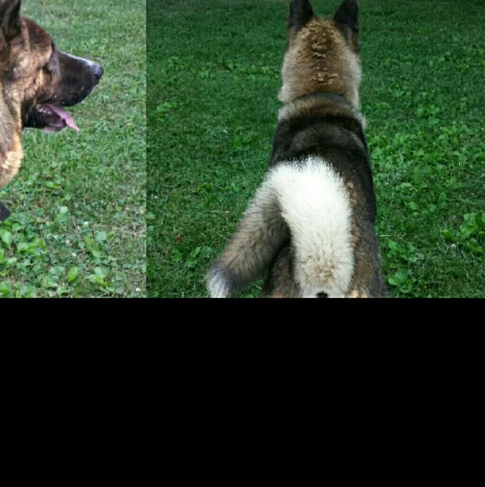 Meet your Posher, Kim