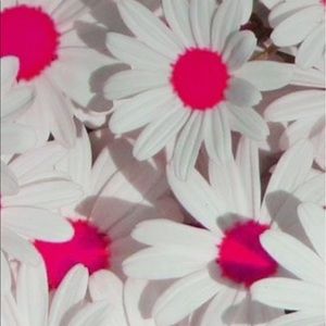 Meet your Posher, Luz