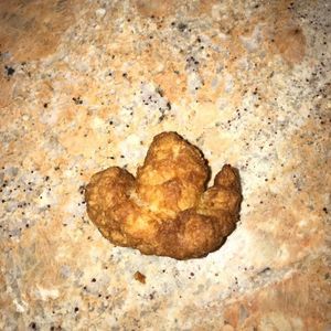 Meet your Posher, Owen