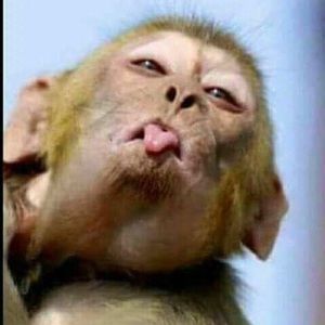 Meet your Posher, Douglas