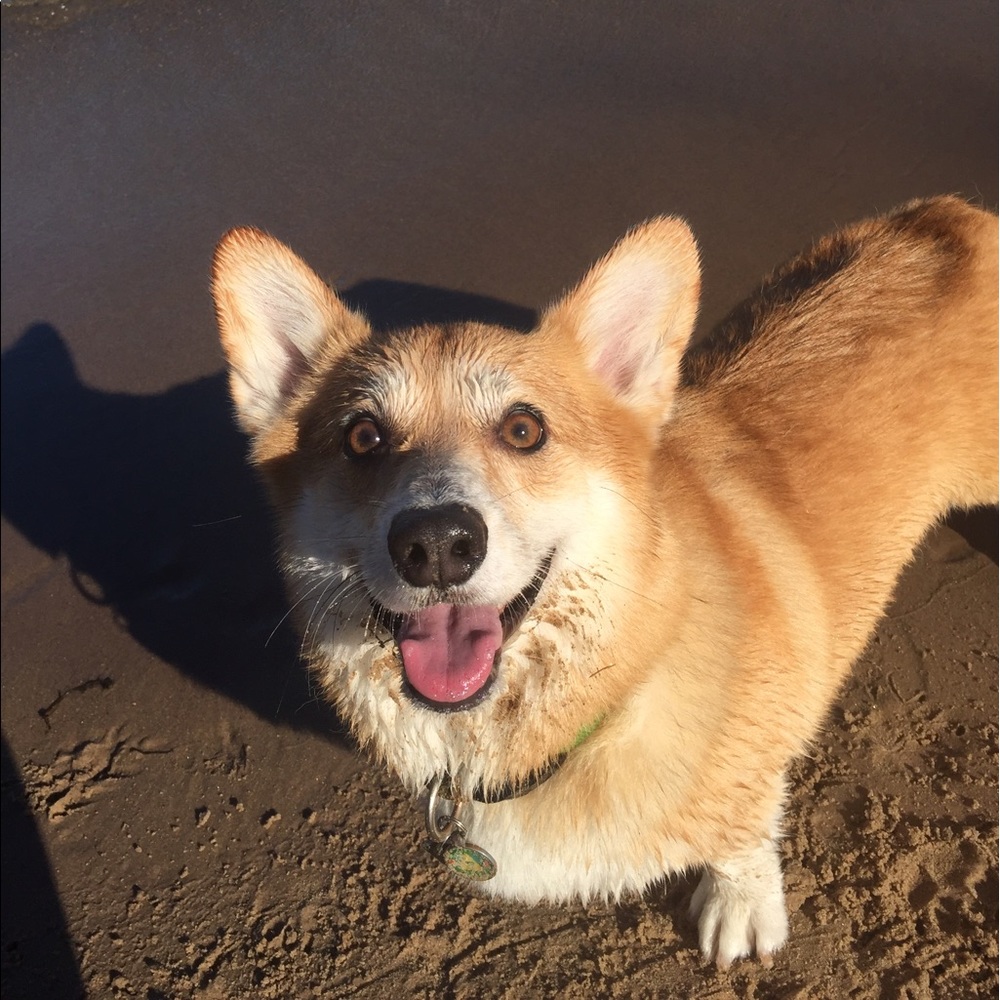 Meet your Posher, Lan