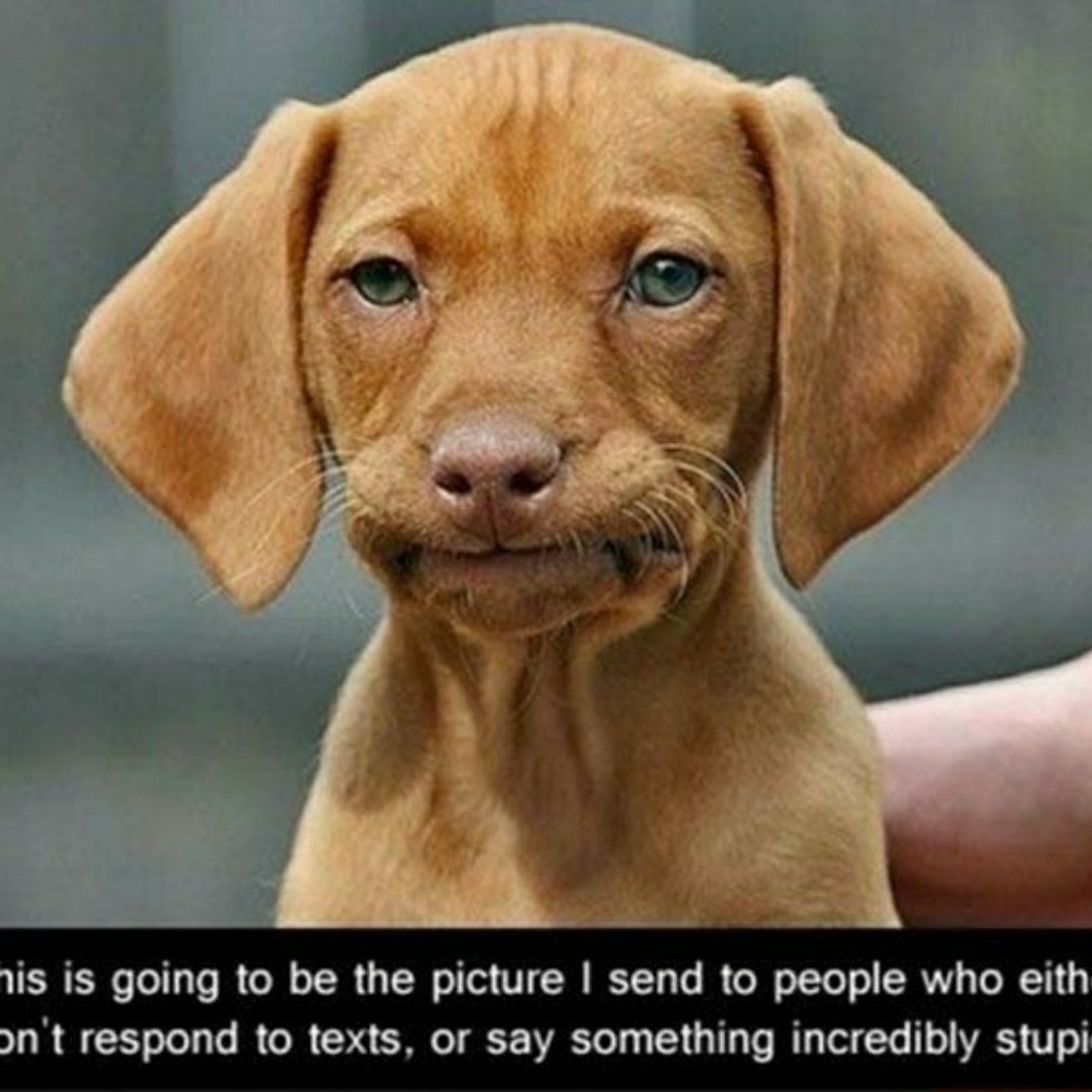 Meet your Posher, Christie