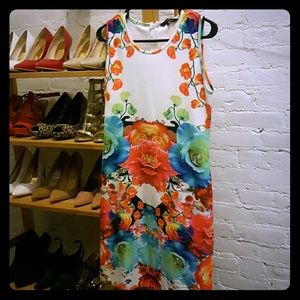 Stunning Vivid Floral Dress New w/o tags