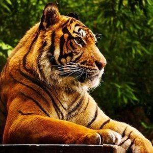 Meet your Posher, Kara