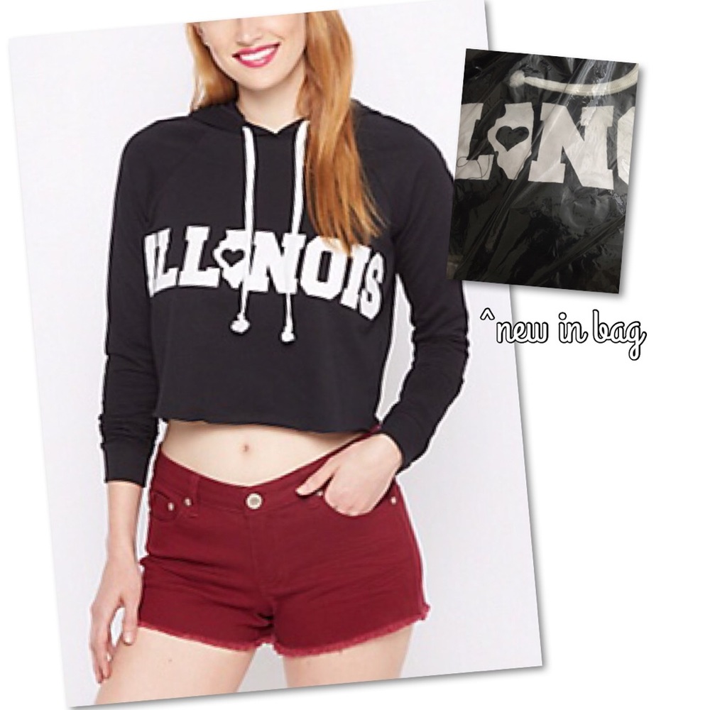 Illinois Cropped Hoodie