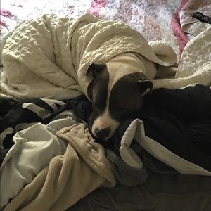 Meet your Posher, Debra