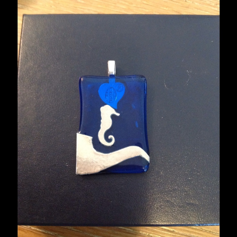 Blue and silver sea horse themed pendant.