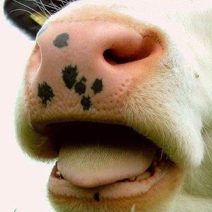 Meet your Posher, Marla