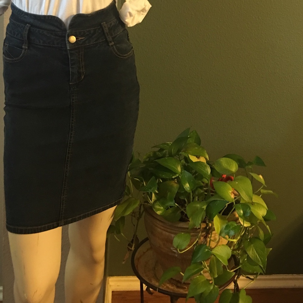 Beautiful fitted Denim skirt