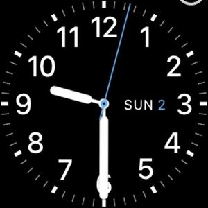 Meet your Posher, Bailey