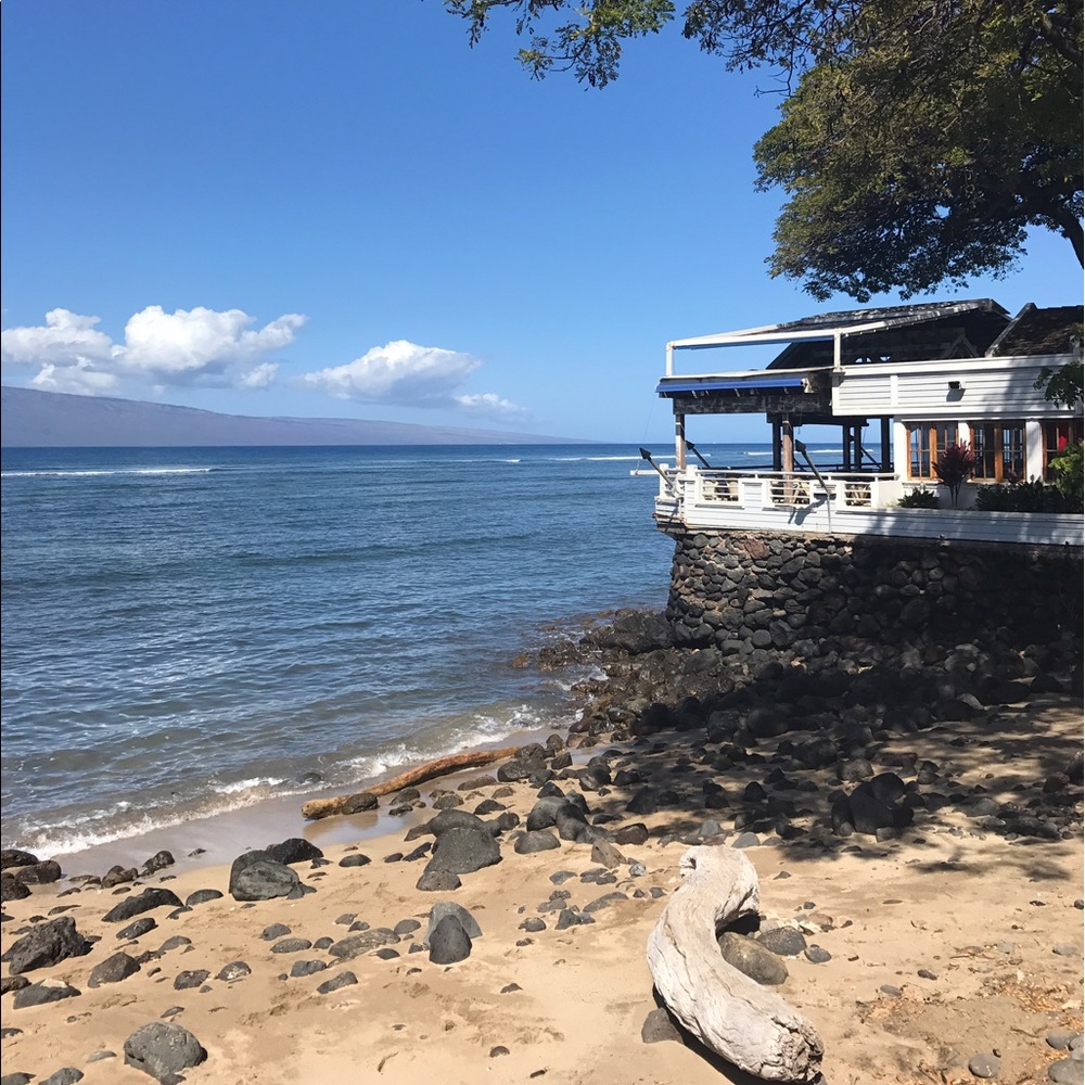 Meet your Posher, Sophie