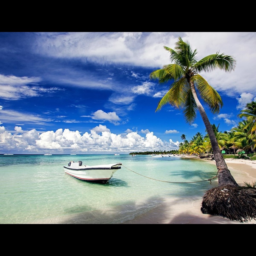 Meet your Posher, Dzejlana