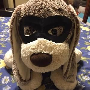 Meet your Posher, Leeanne