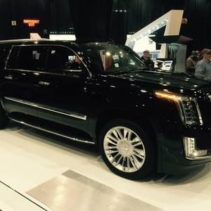 Meet your Posher, Henry