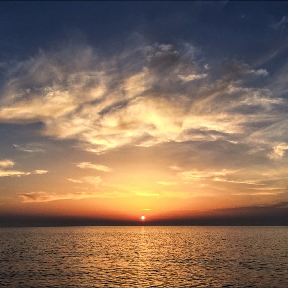 Meet your Posher, Sofia - Picture 4 of 8