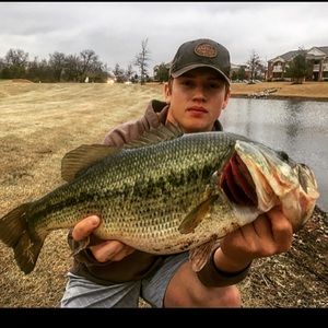 Meet your Posher, Justin