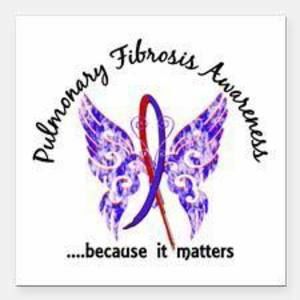 Meet your Posher, Sherry