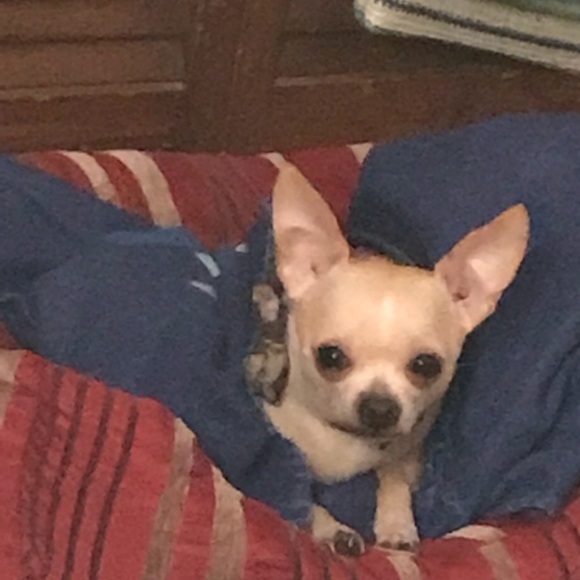 Meet your Posher, Lisa - Picture 5 of 13