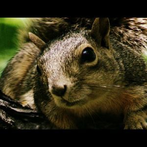 Meet your Posher, Melinda