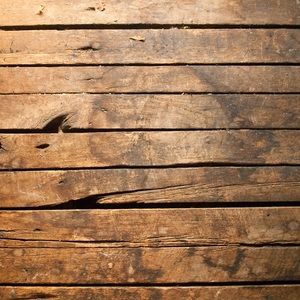 Meet your Posher, Dani