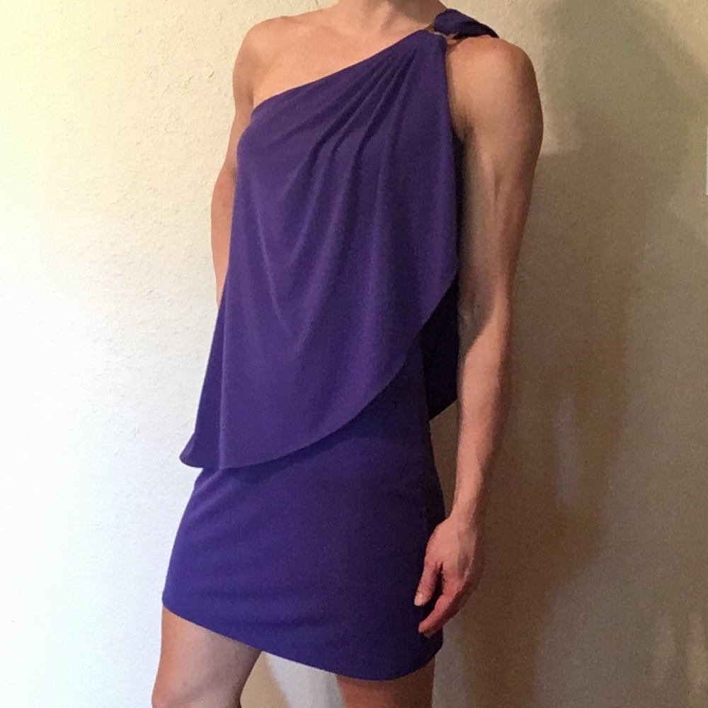 Purple Draped One-Shoulder Segal Dress