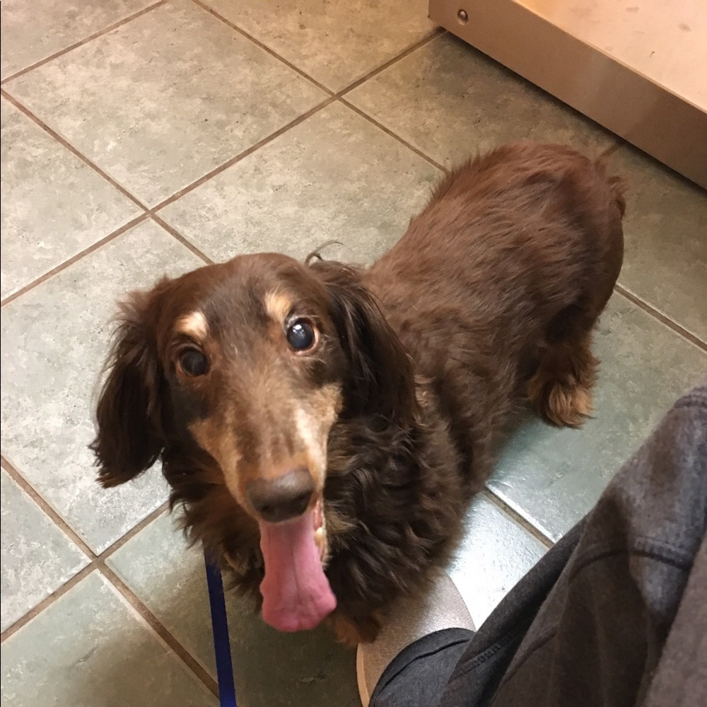 Meet your Posher, Sam