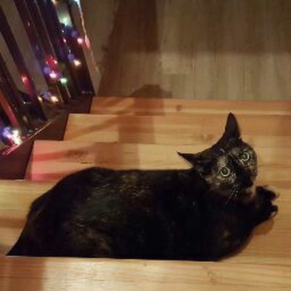 Meet your Posher, Kathryn