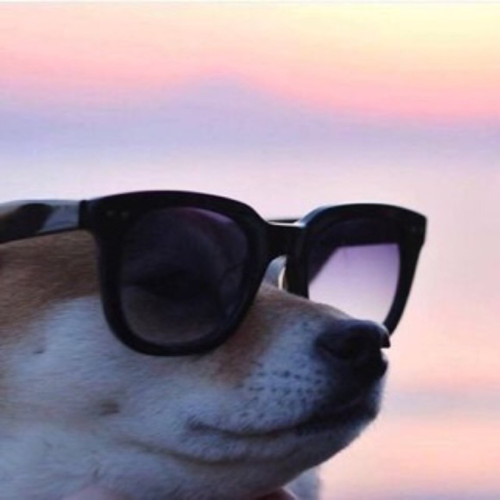 Meet your Posher, Francisco