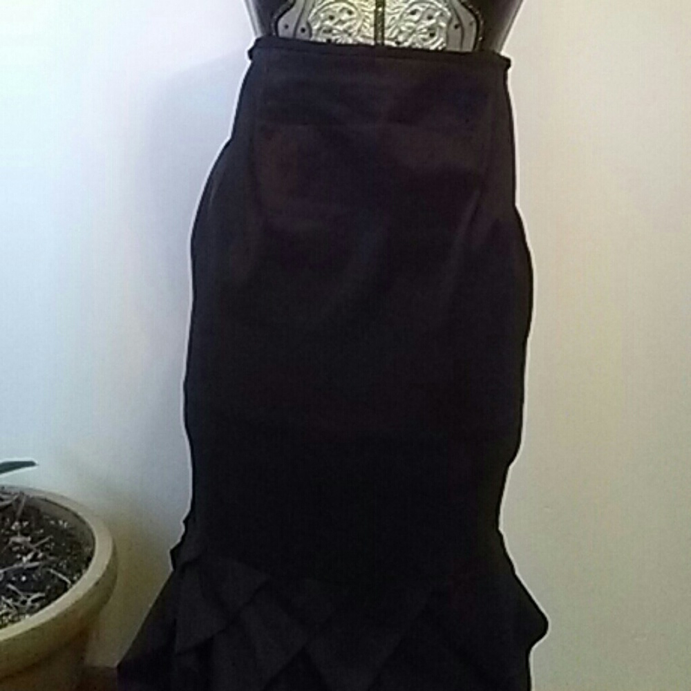 Fancy Skirt - Picture 2 of 5