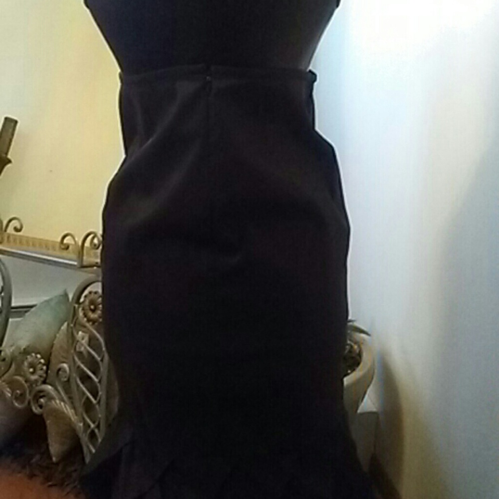 Fancy Skirt - Picture 3 of 5