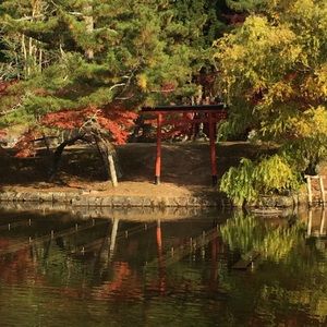 Meet your Posher, Colleen