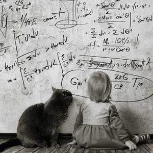 Meet your Posher, Jing