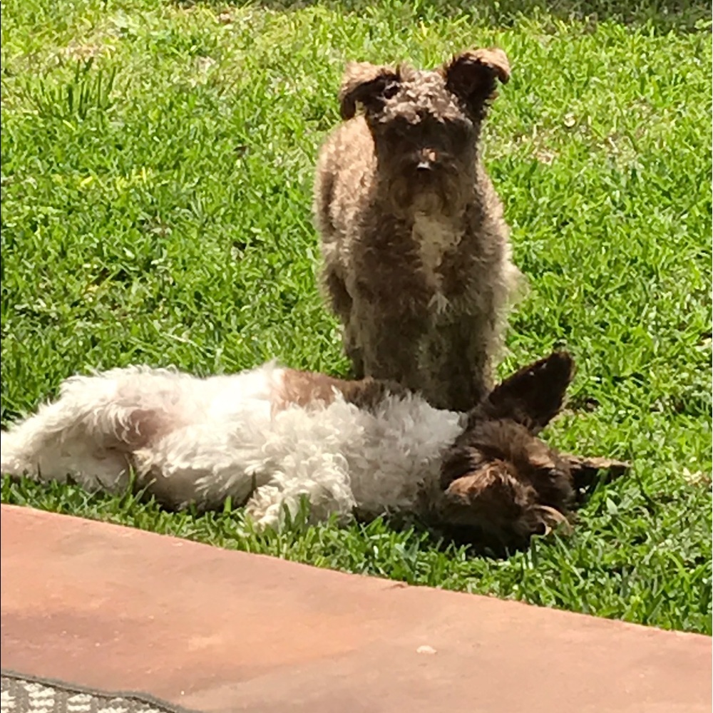 Meet your Posher, Patricia