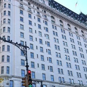 Meet your Posher, Riley