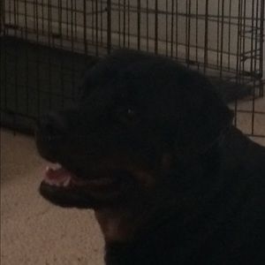 Meet your Posher, Catherine