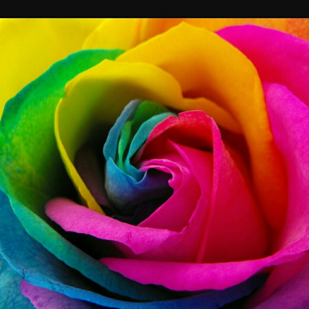 Meet your Posher, Marcina