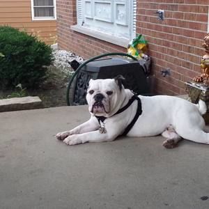 Meet your Posher, Jorge alexander