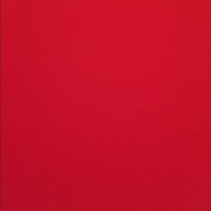 Meet your Posher, Joey