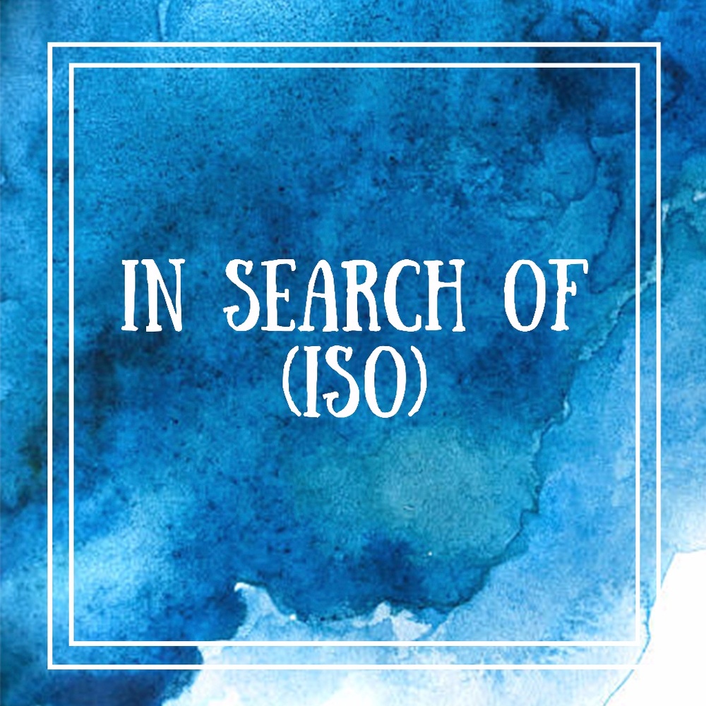 ISO - In Search Of.... some holy grail-ish items